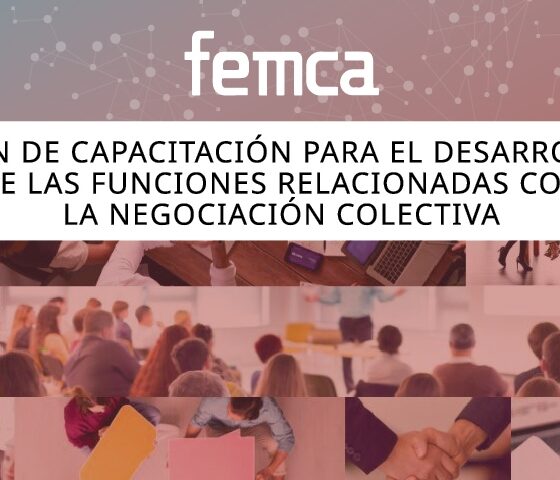 Plan Formativo de FEMCA para el 2025